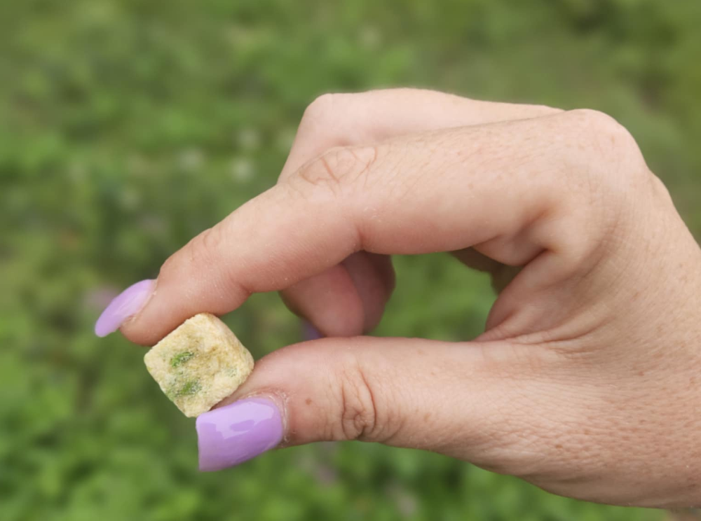 Chicken Breast & Green Bean Freeze-Dried Dog Treats